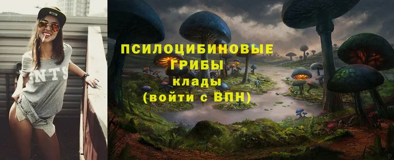 Виды наркотиков купить Богородск Псилоцибиновые грибы  Гашиш  Марихуана  Кокаин 